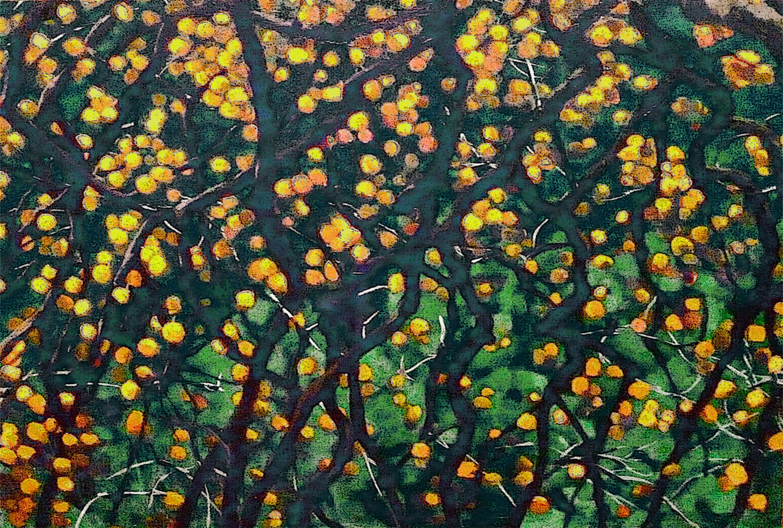 『実』　油彩　キャンバスF40号