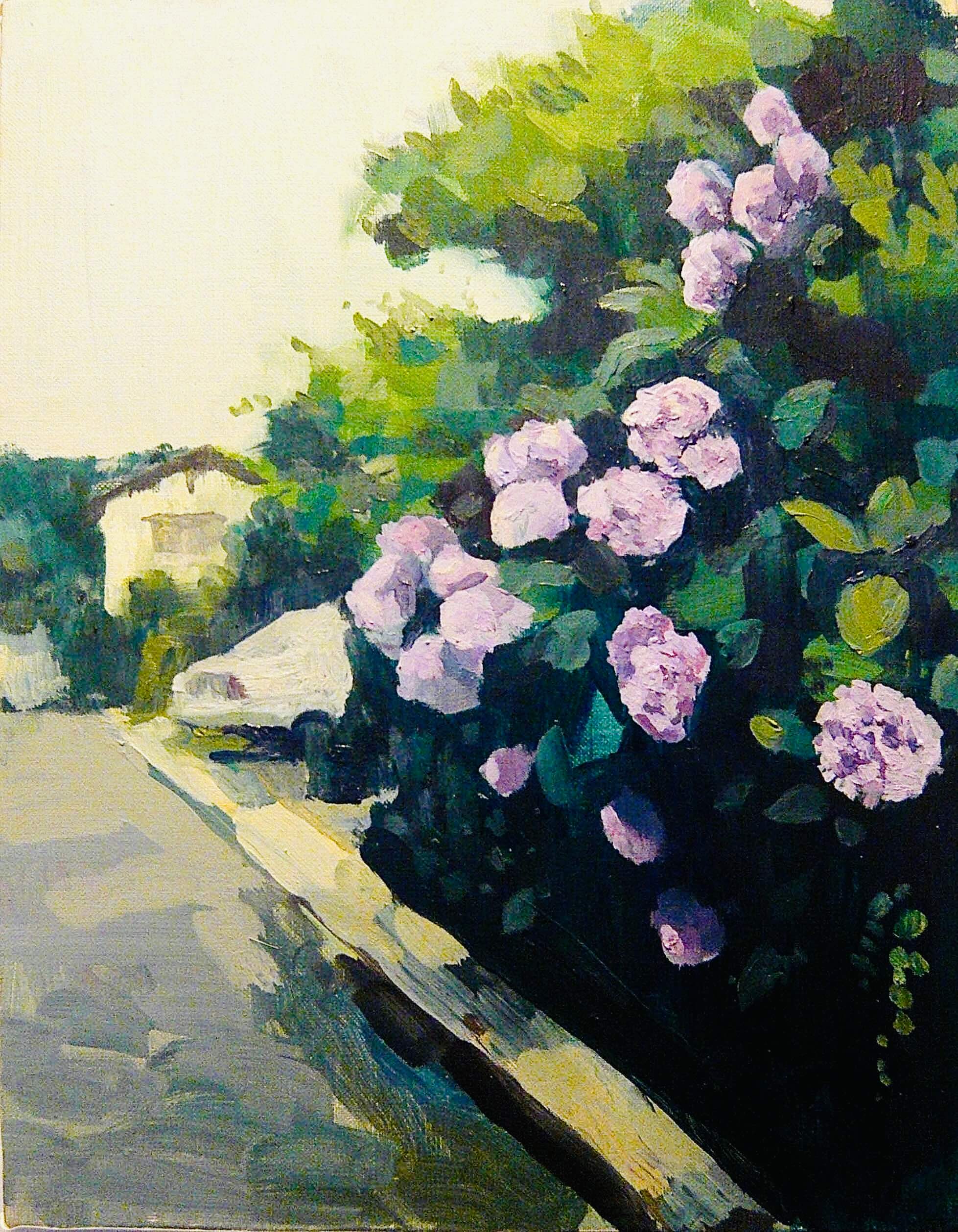 『紫陽花』　油彩　キャンバスF8号